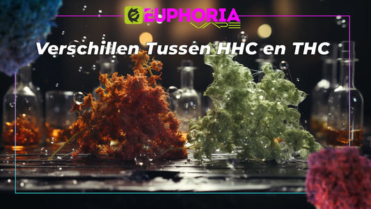 Verschillen Tussen HHC en THC